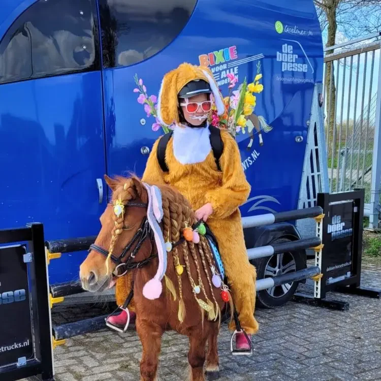 Jongen in konijnenpak met feestaccessoires rijdt op versierde pony tijdens een vrolijk evenement in een buitenomgeving