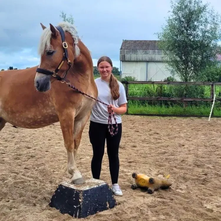 vrijheidsdressuur met paarden
